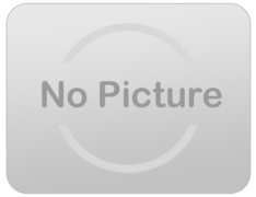 Test Recurring Item